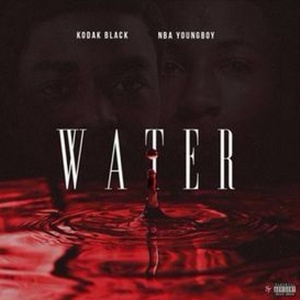 摄像头 间谍 隐
